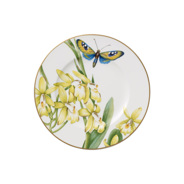 AMAZONIA ANMUT category